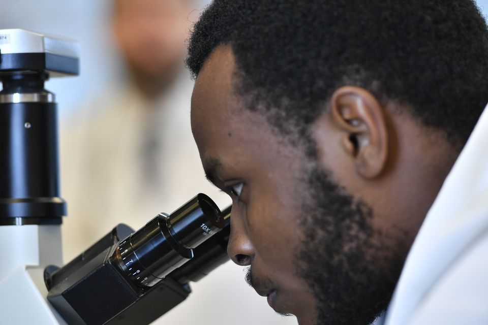 WVU student researcher using microscope